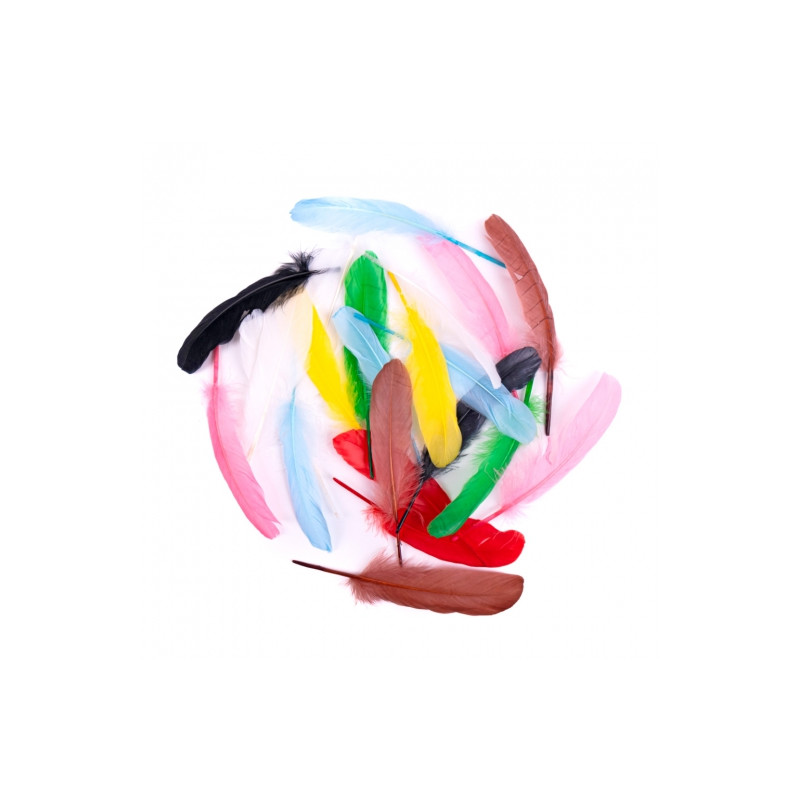 Colorful goose feathers 16cm 20 pieces