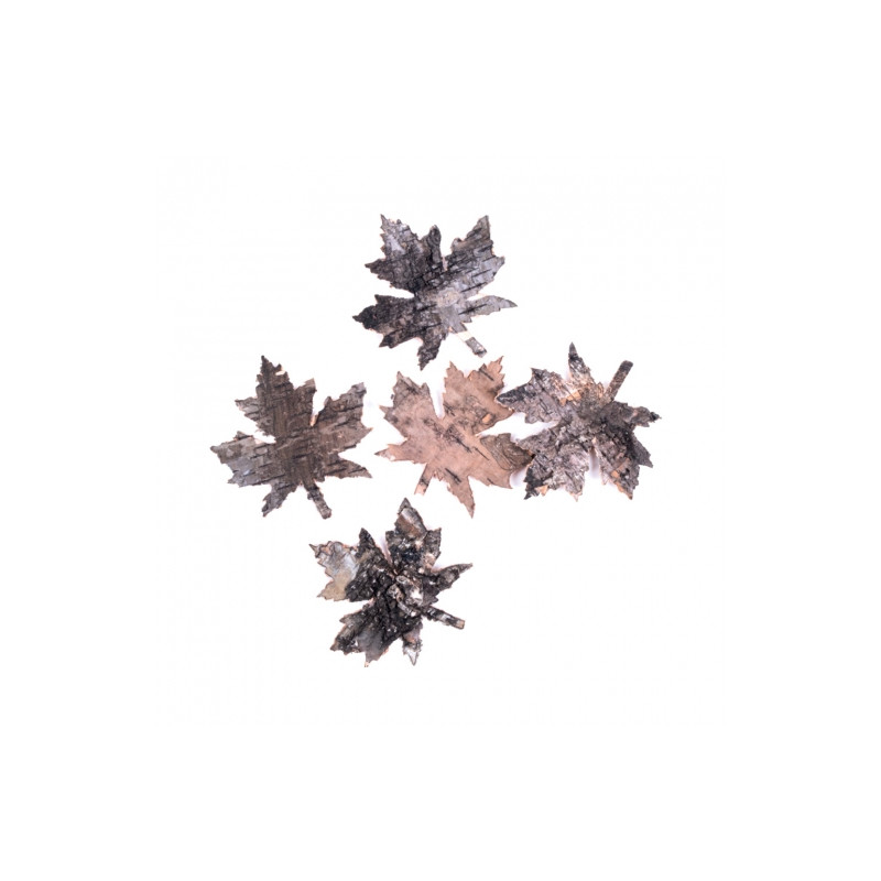 DP Craft 5 bark maple leaves