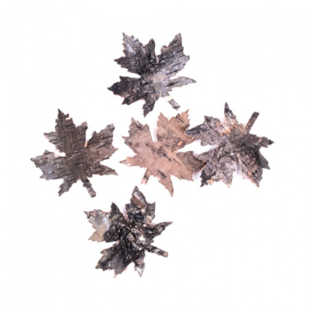 DP Craft 5 bark maple leaves
