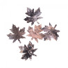DP Craft 5 bark maple leaves