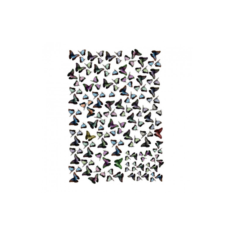 Papier do decoupage, Motyle A4 - sklep plastyczny - szał dla plastyków