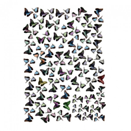 Papier do decoupage, Motyle A4 - sklep plastyczny - szał dla plastyków