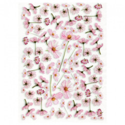 Rice decoupage paper pink flowers A4 ITD R034