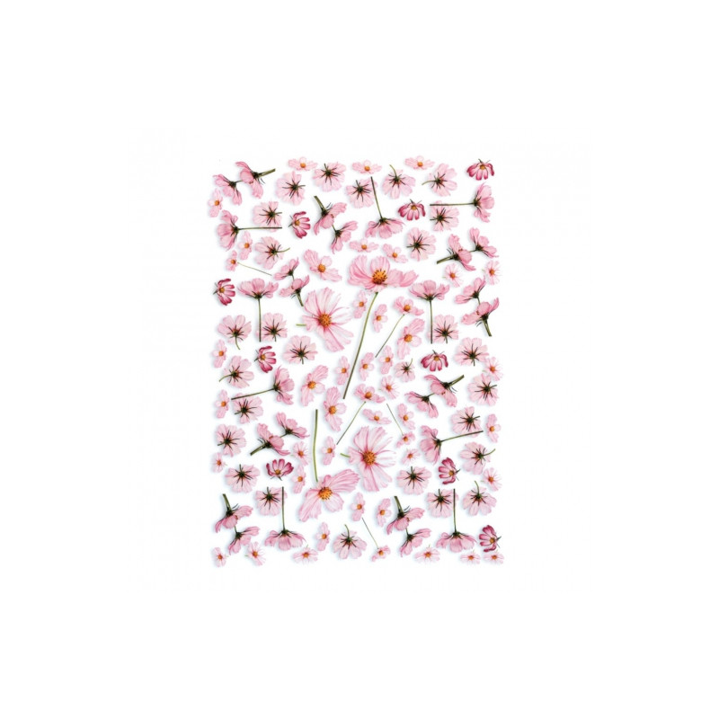 Papier do decoupage A4 ITD 0158M kwiaty kosmos - sklep plastyczny - sz