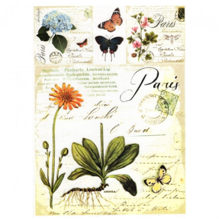 Papier do decoupage soft A4 ITD S006 zioła kwiaty motyle - sklep plast