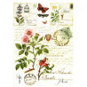 Decoupage paper soft A4 ITD S007 wild rose herb