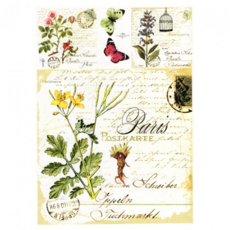 Decoupage paper soft A4 ITD S008 butterflies herbs