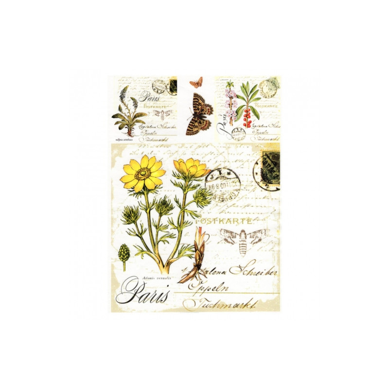 Papier do decoupage soft A4 ITD S010 zioła motyle - sklep plastyczny -