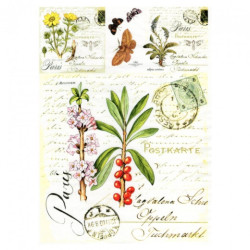 Decoupage paper soft A4 ITD S011 butterflies herbs