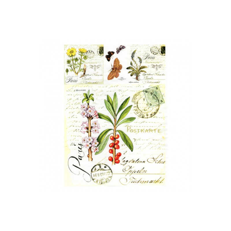 Decoupage paper soft A4 ITD S011 butterflies herbs