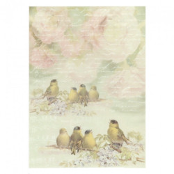 Decoupage paper soft A4 ITD S154 birds flowers
