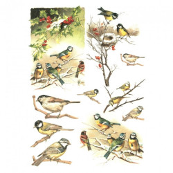 Decoupage paper soft A4 ITD S184 birds on twigs