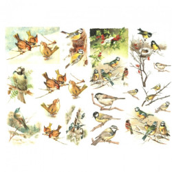 Papier do decoupage soft A4 ITD S186 ptaki na gałązkach - sklep plasty