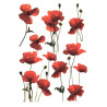 Rice decoupage paper red poppies A4 ITD R039
