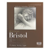 Blok Strathmore s.400 bristol smooth 15ark- sklep plastyczny szał dla