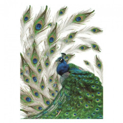 Rice decoupage paper A4 ITD R323