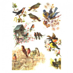 Rice decoupage paper A4 ITD R325 birds