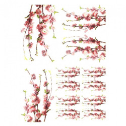 Papier ryżowy do decoupage kwiat jabłoni A4 ITD R411 - sklep plastyczn