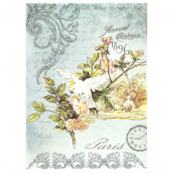 Rice decoupage paper parrot A4 ITD R527