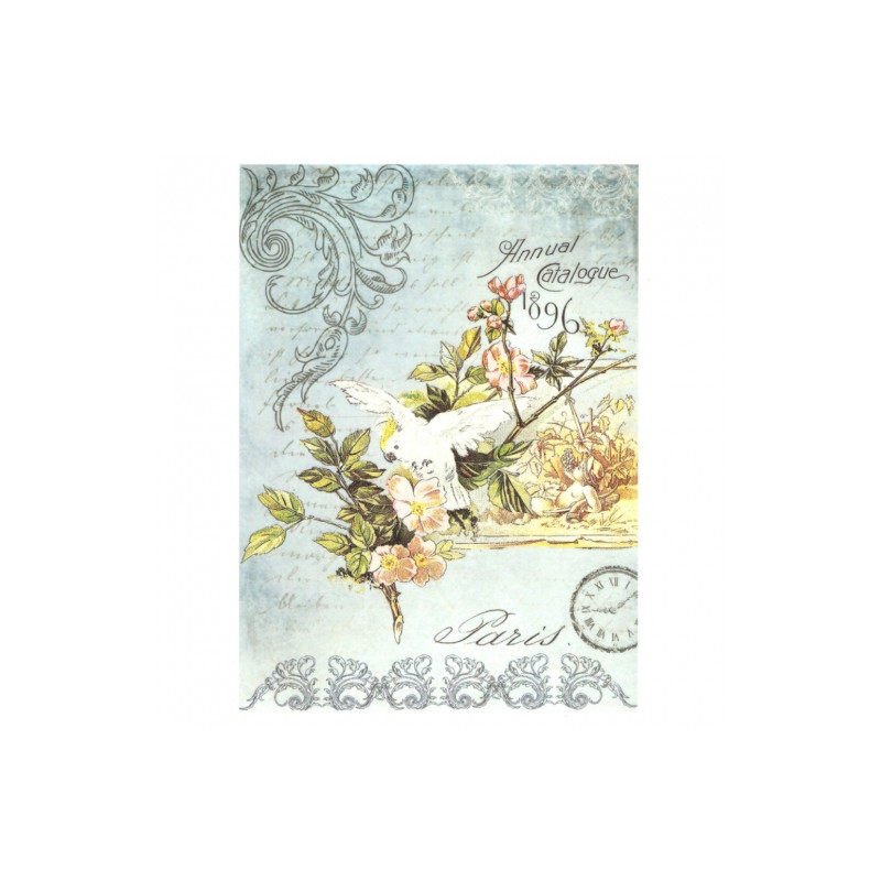 Rice decoupage paper parrot A4 ITD R527