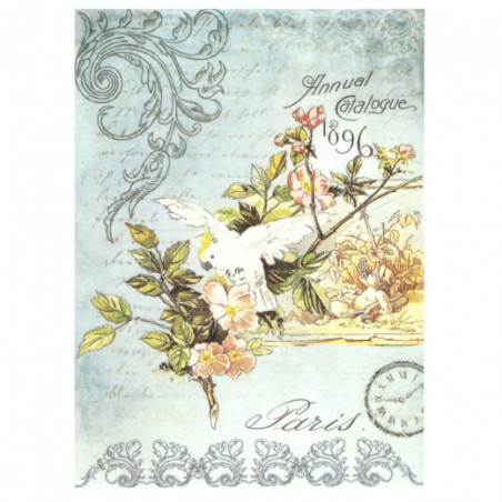 Rice decoupage paper parrot A4 ITD R527