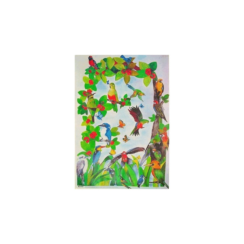 Papier do decoupage australijskie ptaki 50x70cm - sklep plastyczny - s