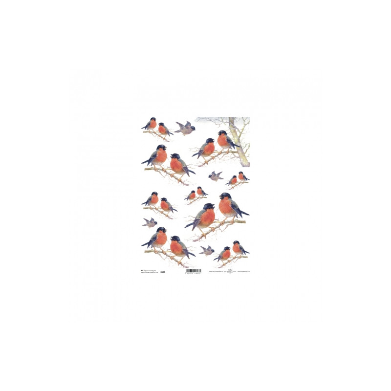 Rice decoupage paper birds on a branch A4 ITD R590