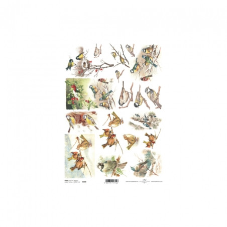Rice decoupage paper A4 ITD R599
