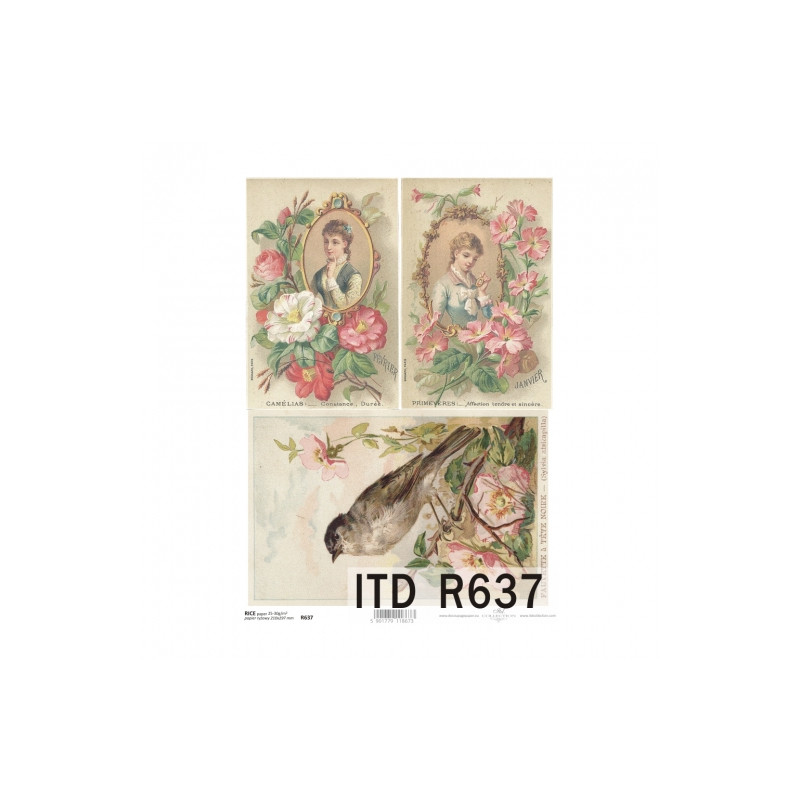Rice decoupage paper vintage woman portrait A4 ITD R637