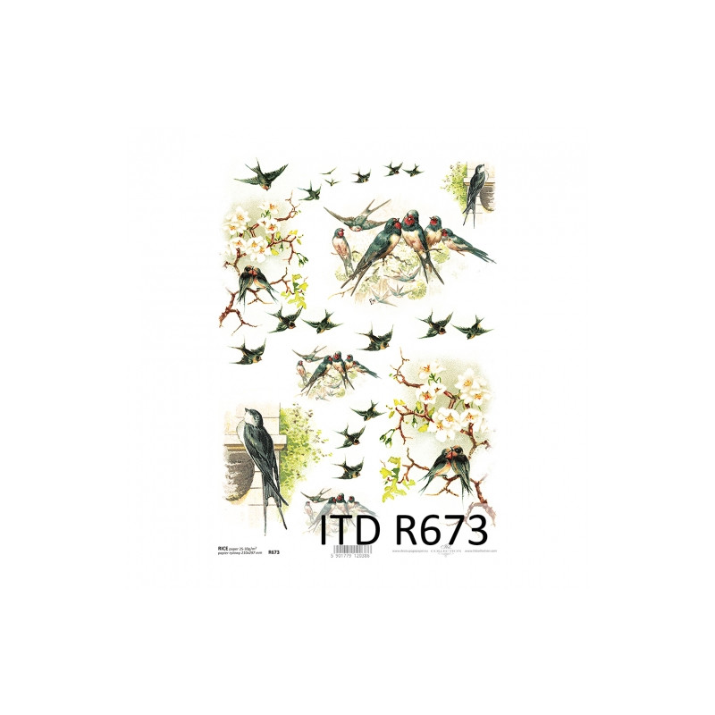 Rice decoupage paper A4 ITD R673 spring birds