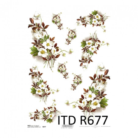 Rice paper for decoupage anemone flowers A4 ITD R677