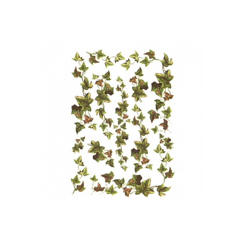 Rice paper for decoupage ivy A4 ITD R321