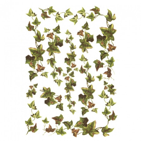 Rice paper for decoupage ivy A4 ITD R321