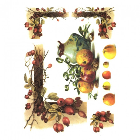 Papier ryżowy do decoupage owoce A4 ITD R436 - sklep plastyczny - szał