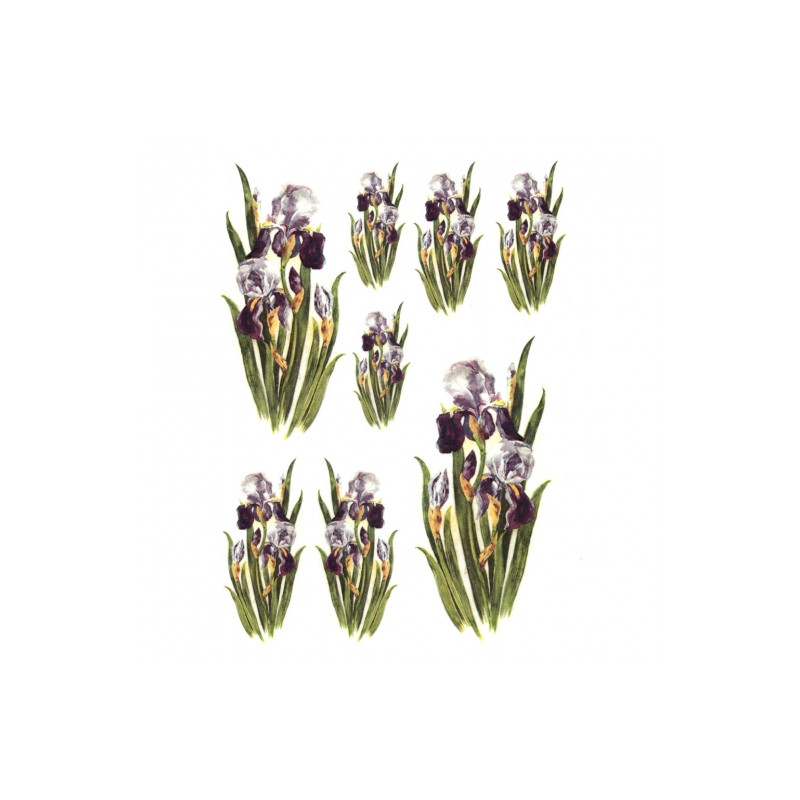 Rice decoupage paper irises flowers A4 ITD R389
