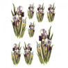Rice decoupage paper irises flowers A4 ITD R389