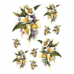 Rice decoupage paper jasmine scented R387