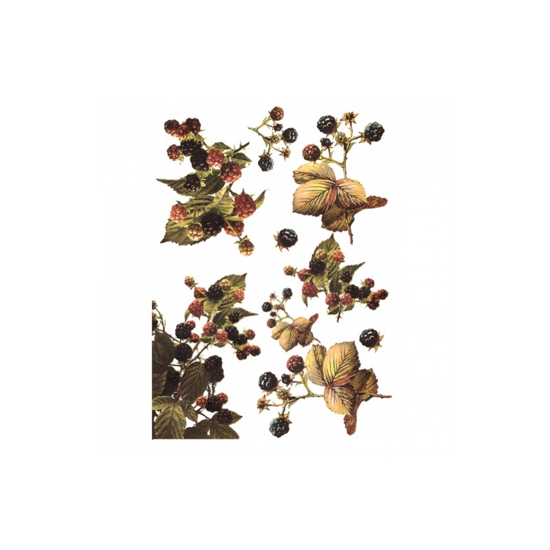 Rice decoupage paper blackberry fruit A4 ITD R395