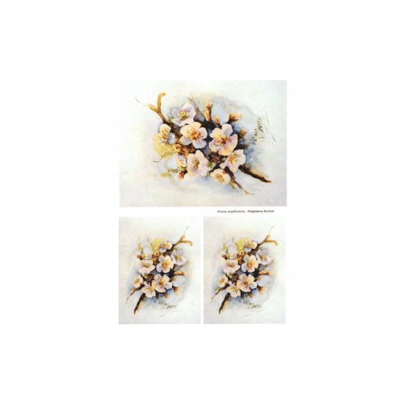 Rice paper for decoupage apple blossoms A4 ITD R276