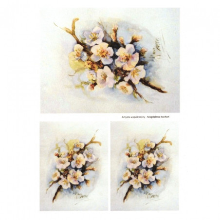 Rice paper for decoupage apple blossoms A4 ITD R276