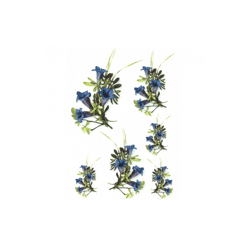 Rice paper for decoupage A4 ITD R166