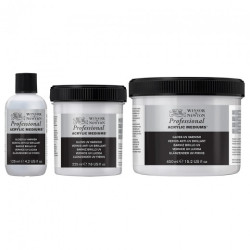 Winsor & Newton professional acrylic gloss varnish UV