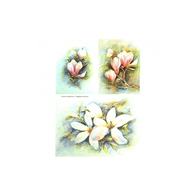 Papier ryżowy do decoupage kwiaty magnolia A4 ITD R277 - sklep plastyc