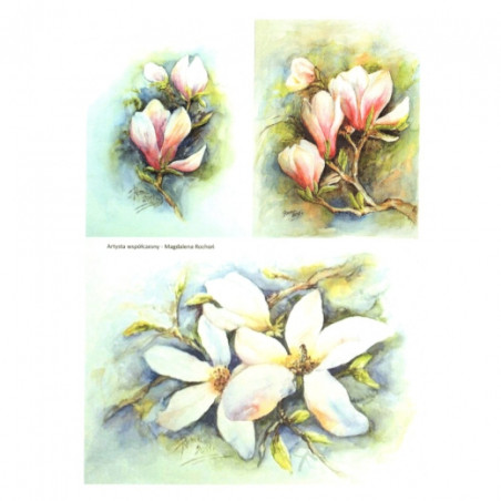 Rice decoupage paper magnolia flowers A4 ITD R277