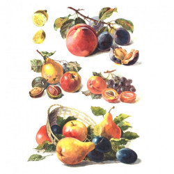 Papier ryżowy do decoupage A4 ITD R397