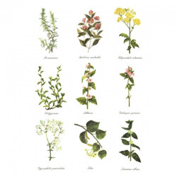 Rice decoupage paper R401