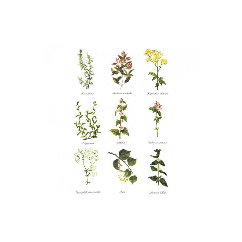 Rice decoupage paper R401