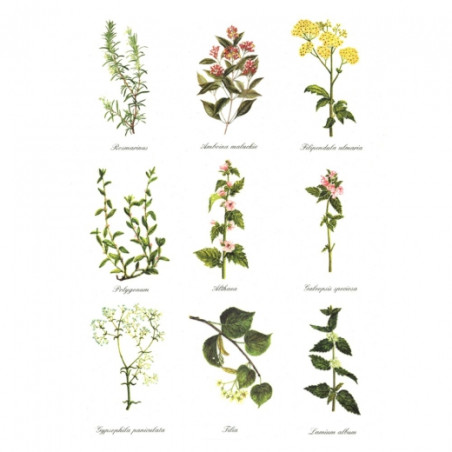 Papier ryżowy do decoupage A4 ITD R401 - sklep plastyczny - szał dla p