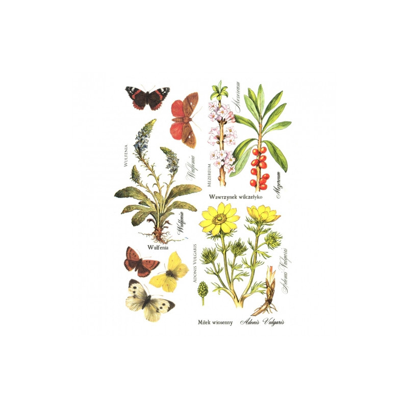 Rice decoupage paper flowers herbs butterflies A4 ITD R406