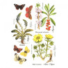 Rice decoupage paper flowers herbs butterflies A4 ITD R406